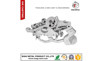 About the process of  BIAN aluminum die cast parts